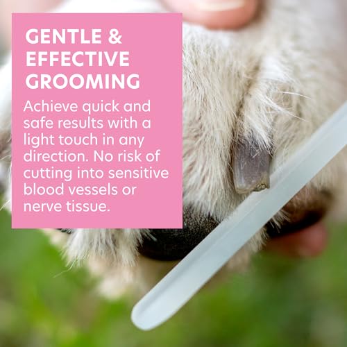 BONA FIDE BEAUTY Krallenschleifer für Hunde, Trimmen & Formen - Sanfter, Schmerzfreier Krallenschleifer - Ideal für Hunde, Katzen, Vögel - Krallenfeile Hund aus Tschechischem Premium Glas
