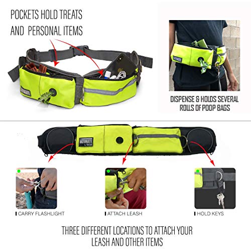 Taksin The Ultimate Hands Free Dog Leash For Walking Running Hiking Training, Reflective Bungee Leash, Treat Holder, Poop Bag Dispenser For Small Medium Large Dogs (Yellow Deluxe Pack) #TOP5