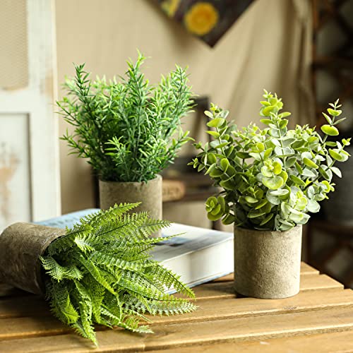 Floralsecret Lot de 3 mini plantes artificielles en pot imitation eucalyptus, romarin, verdure dans des pots pour la maison, le bureau, la décoration de la chambre Cover
