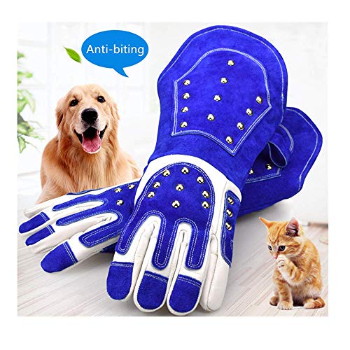 Buy EULANGDE Thickened Animal Handling Gloves Bite Proof Kevlar