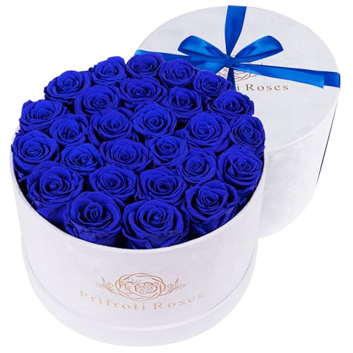 27 Flowers in a Luxury Suede Box, Birthday Gifts for Women, Preserved Flowers, Mothers Day Roses Gift for Mom, Royal Blue
