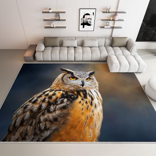 WHUOEUCO Tapis Enfant Hibou De Dessin Animé 160x230cm Tapis Salon Grande Poils Courts Doux, Design Antidérapant Moderne, pour Cuisine, Salle à Manger,...
