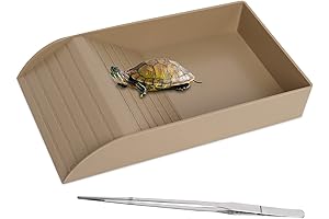 Bearded Dragon Digging Box: Reptile Feeding Dish with Ramp and Basking Platform