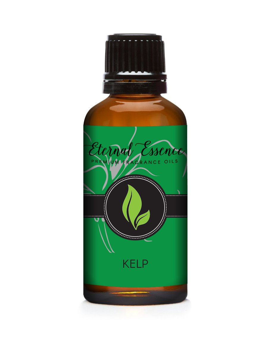 Eternal Essence Oils Kelp 30ml Premium Fragrance Oil - for Candle, Soap Making, Aromatherapy, Diffusers, Home Care, &amp; Humidifiers