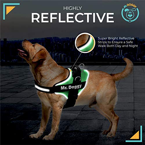 SUPER DOGGY Personalisiertes Hundegeschirr - Reflektierendes und sicheres Hundegeschirr - Enthält 2 Namensschilder, Klein, Mittel und Groß - Qualität und Beständigkeit (Verde, XS 3-7KG)
