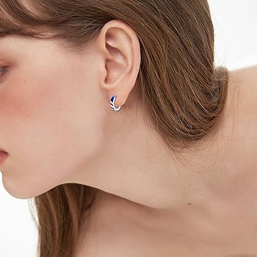 Sheaisrs American Flag Patriotic Earrings For Women 925 Sterling Silver Hoop Earrings For Men Usa Flag For Her thumb #5