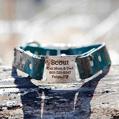 dogIDs Personalized Waterproof ScruffTag Dog Collar, Made in USA - Soft Grip, Adjustable, Odor Resistant, Custom Laser Engraved Name Plate - Hunter Green, 5/8 in x 12 in (Fits Neck Sizes 11-13 in) - Image 6