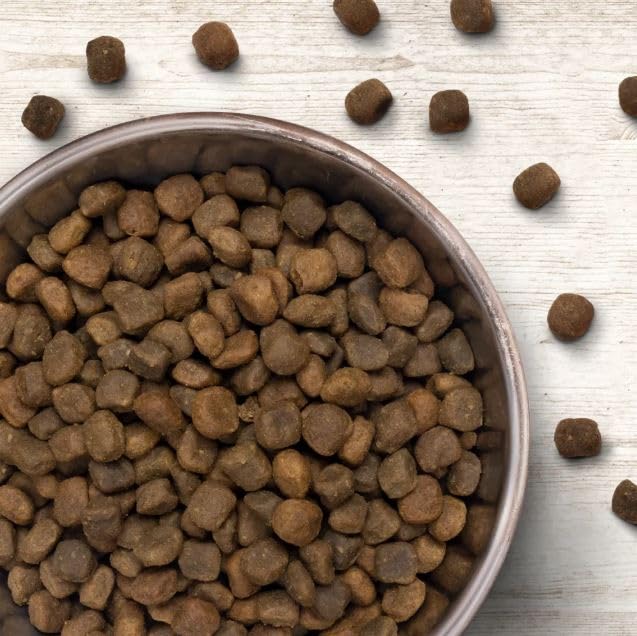 Wildborn Homeland Chicken 1 x 12 kg | Hundefutter für alle Hunde mit sehr hohem Anteil Huhn | Monoproteinprodukt