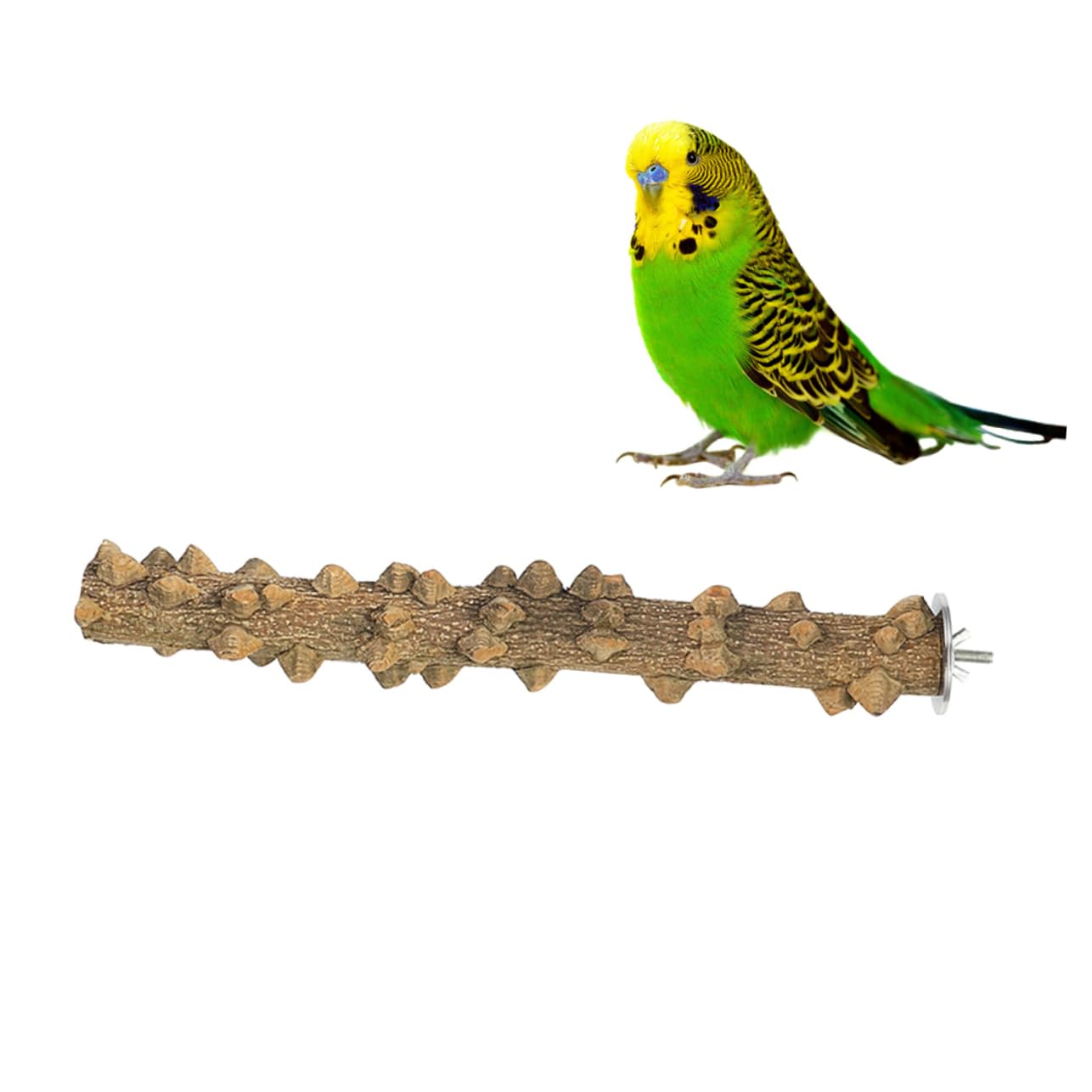 minkissy 3 Stücke Vogel Sitzstange Für Käfig Papagei Spielständer Natürliche Holz Vogel Spielzeug Ständer Für Papageien 25x2 5x2 5 cm Vögel Zubehör
