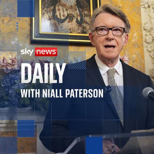 『The fall and rise (and fall again) of Peter Mandelson』のカバーアート