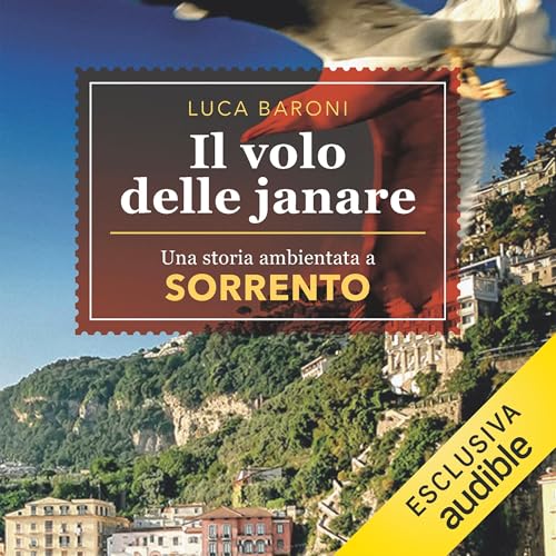 Page de couverture de Il volo delle janare