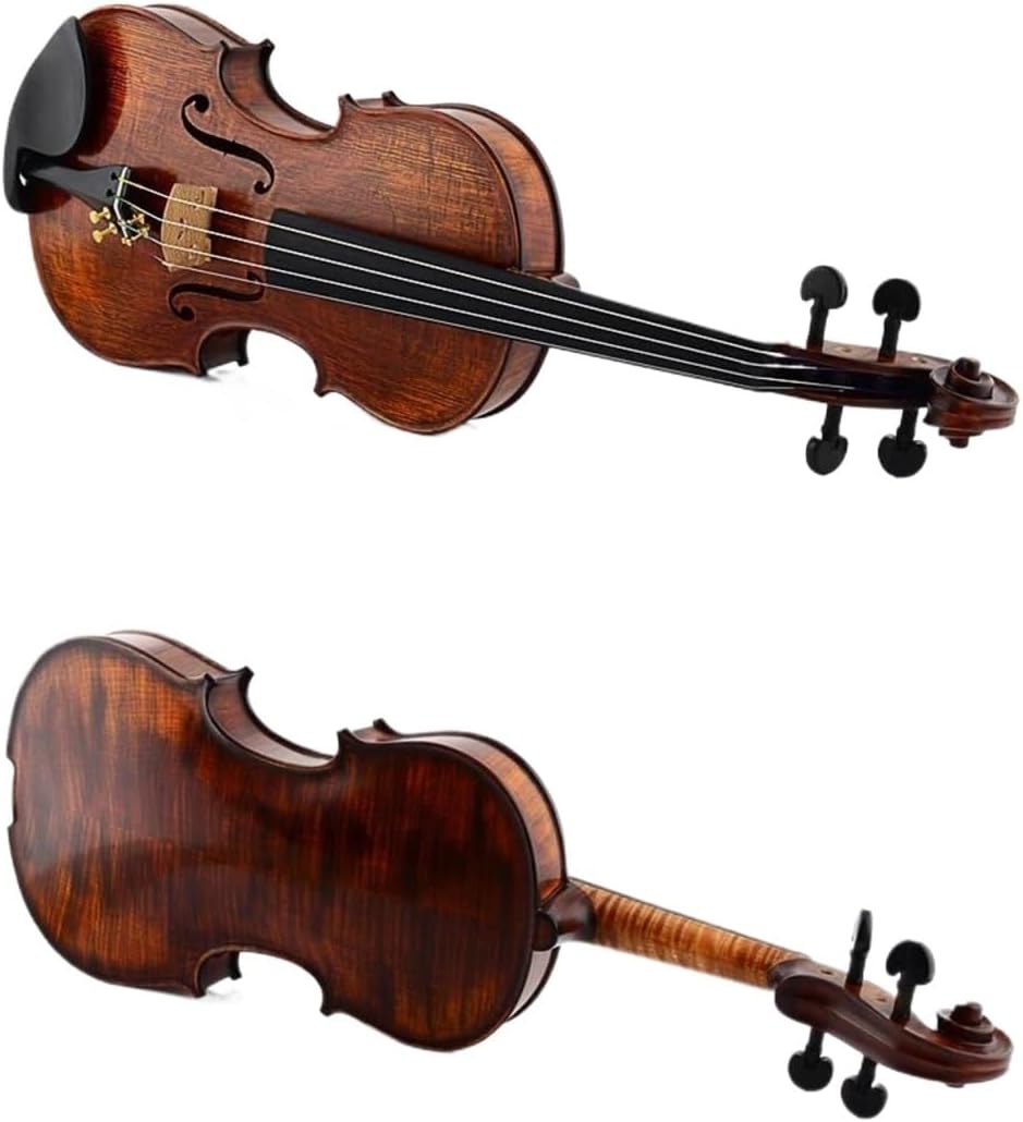 バイオリンセット プロフェッショナル 4/4 初心者用バイオリン ケース