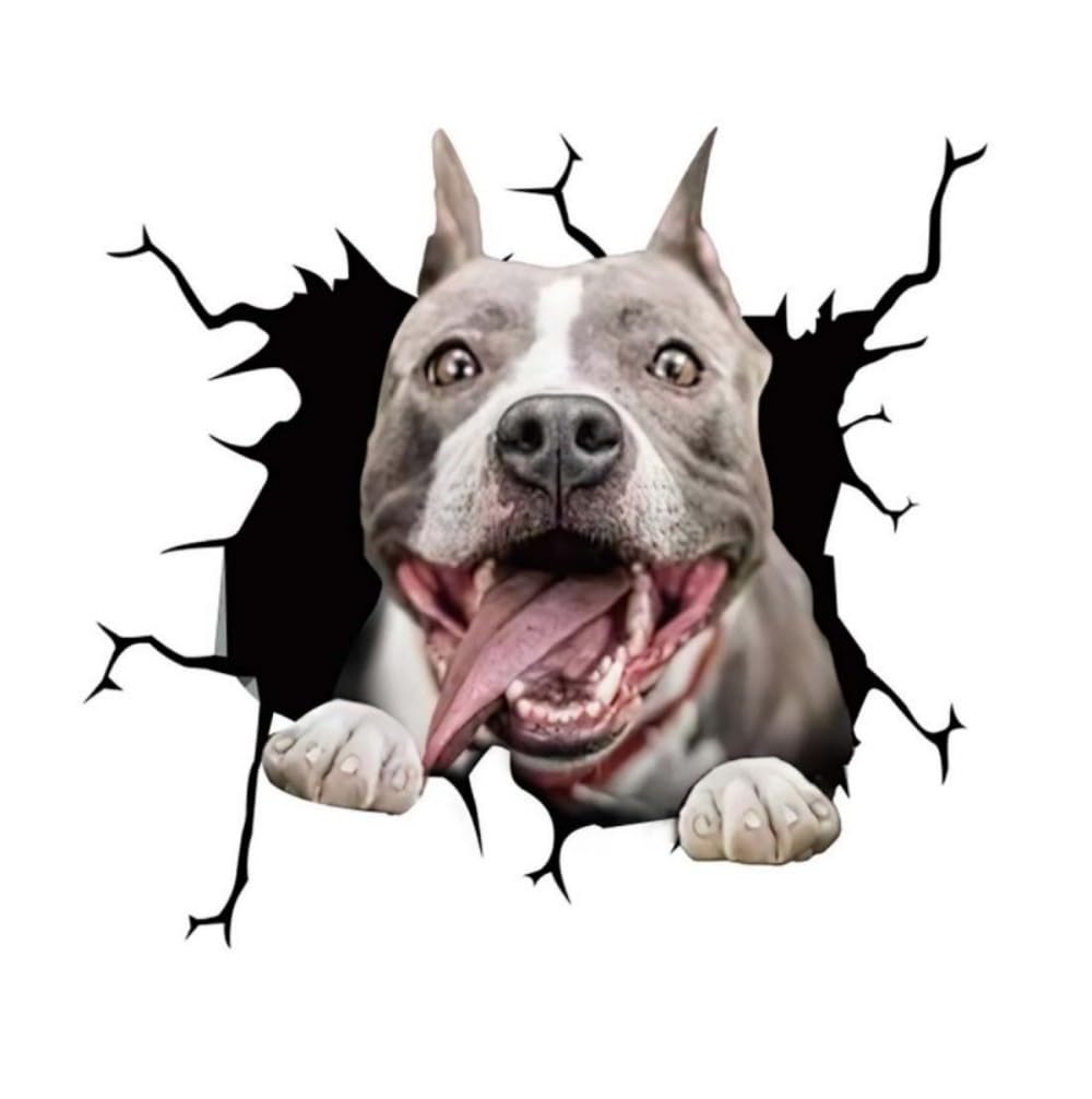 Pit Bull Hund Lustig Autoaufkleber, 3D Zerrissener Effekt, Wasserfester Vinyl-Aufkleber für Auto, Stoßstange, Fenster, Kühlschrank (22cm/8.7 Inch)