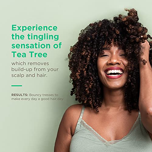 Soapbox SBS71296 Tea Tree Shampoo, Sulfate Free, Paraben Free, Silicone Free, Color Safe, And Vegan Hair Shampoo thumb #2