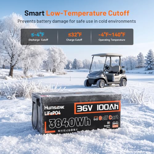 Image of 36V 100Ah Golf Cart Lithium Battery, 200A BMS (600A Peak), Bluetooth & Dashboard Meter, 3.84kWh Deep Cycle LiFePO4, 68.7lbs Drop-in Replacement for 6x 6V Batteries, EZGO TXT, Club Car DS