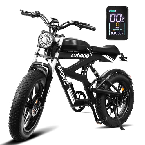 PJIBO Electric Bike for Adults,750W Motor Up to 30 MPH...