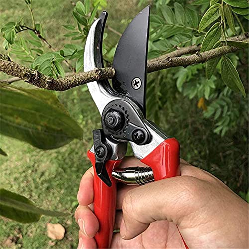 Tijeras profesionales para jardinería y poda miniatura 5