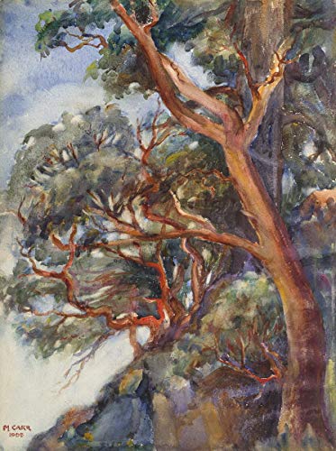 Berkin Arts Emily Carr Giclee Print On Paper-Famous Paintings Fine Art Poster-Reproduction Wall Decor(Unknown) #XZZ Berkin Arts Emily Carr Giclee Print On Paper-Famous Paintings Fine Art Poster-Reproduction Wall Decor(Unknown) #XZZ