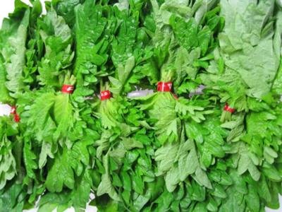 Green Shiso Leaves, 2 Count of 100, Avg 1 lb Box, Perilla Variety, Bold Flavor, Perfect for Sushi and Japanese Cuisine, Bulk for Chefs