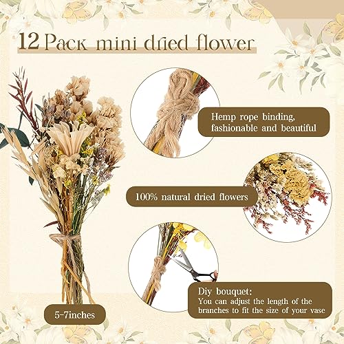 Layhit 12 Pcs Boho Dried Flower Bouquet Mini Wedding Handmade Dry Flowers Decor for Vase Crafts DIY Photo Boutonniere for Men Floral Plant for Bridesmaid Gift Birthday Decor(Bright) — view 2