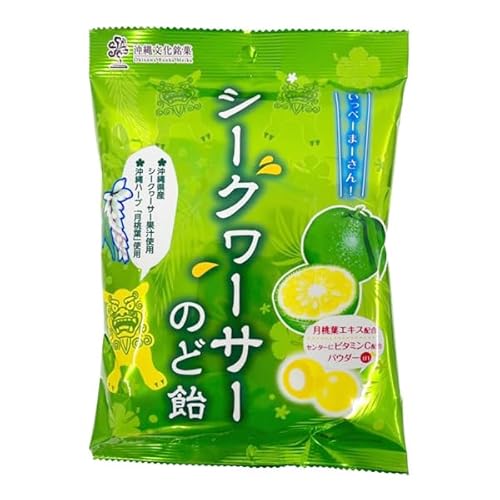  V[N[T[ n[u  ̂ǈ LfB  yY yY V[N[T[̂ǈ 70g