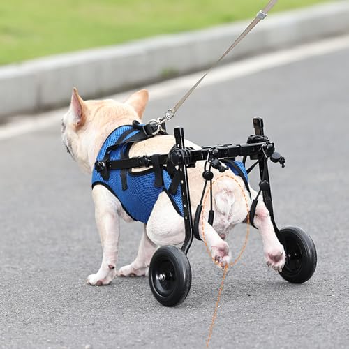 Dog Wheelchair, Adjustable Pets Cart Wheelchair for Back Legs,Dog Leg Brace and Hip Support, Assist Small Pets with Paralyzed Hind Limbs to Recover Their Mobility, Size M - Image 3