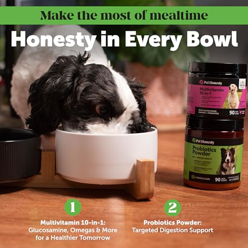 Image of Dog Probiotic Powder with Digestive Enzymes + Prebiotics - Pumpkin Food Topper Supplement for Healthy Digestion, Sensitive Stomach, Gas Relief + Immune Support - Soluble Fiber for Dogs (90 Scoops)