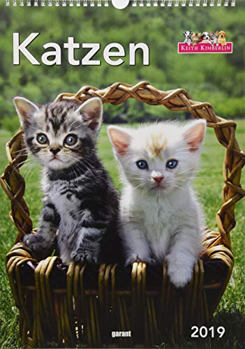 Keith Kimberlin Katzen 2019 - Wochenkalender