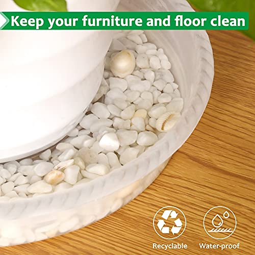 Fowabay 8 Pack Of 5'' Clear Plant Saucer Drip Trays, Plant Tray For Indoor And Outdoor Plants, Thicker & Sturdier & Durable Plastic Plant Saucers Plant Accessories Indoor #TOP4