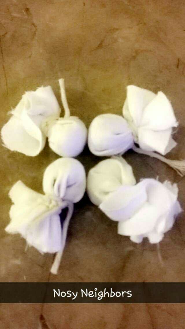 SundanceApproved Nosy Neighbors