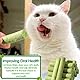 HBSFBH Katzengras Stäbchen, 30 Stück Cat Grass Teething Sticks, Katzengras kaustangen, Katzengras Molarenstab, Katzengras Beißstab, Gefriergetrockneter Katzengras Zahnknirschstab für Zahnpflege