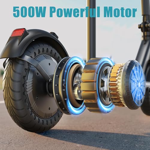 Caroma Electric Scooters, Electric Scooter Adults, 800W Peak