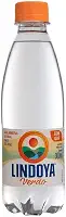Água Mineral Lindoya Com Gás 300 ml