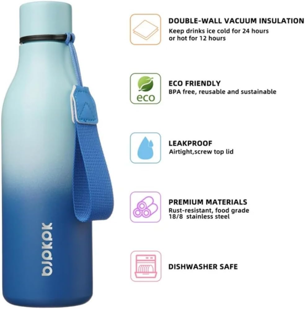 Insulated Stainless Steel Water Bottle with Strap, 18oz – Sky