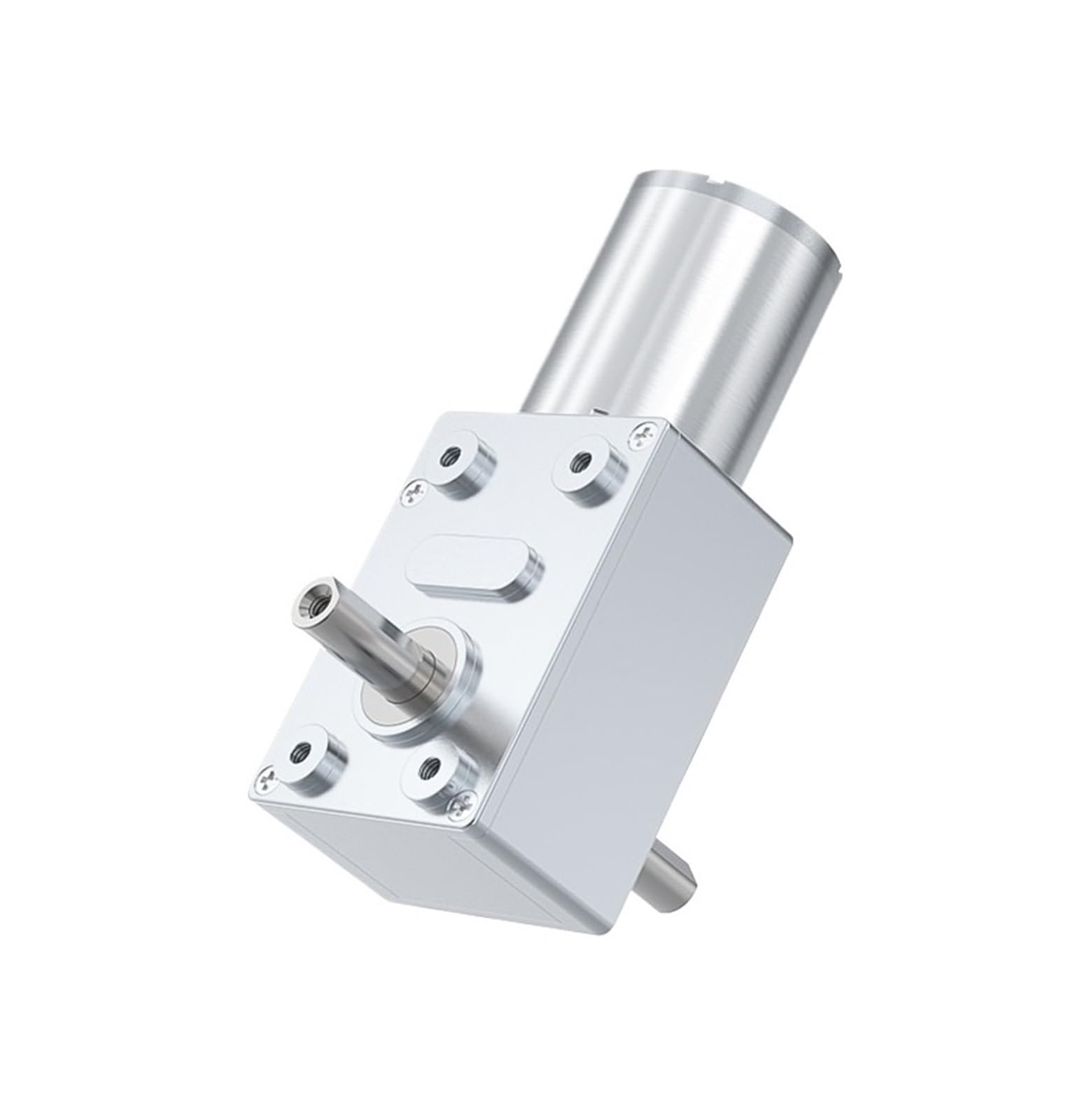 GNQUKEBWH Double Shaft Worm Gear Motor high Torque JGY-370 12V DC Reverse self-Locking Output(10RPM)