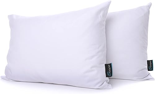 Scape Azure - Almohadas de cama de alta calidad, completamente sin comprimir con borde con cordón y funda de algodón de 250 hilos, relleno