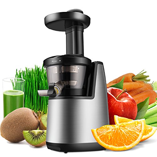 Flexzion Cold Press Juicer Machine - Masticating Juicer Slow Juice Extractor Maker Electric