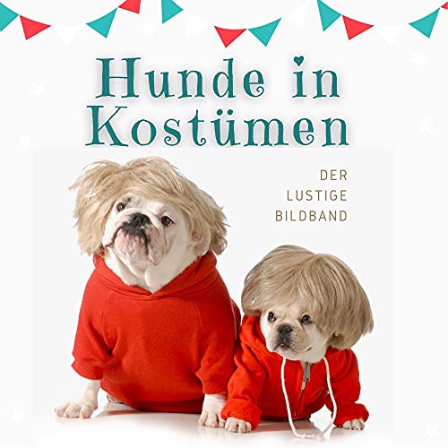 Lustige Kostüme für Hunde Die 15 besten Produkte im Vergleich