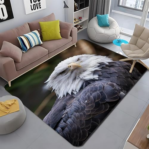 J[ybg 2 GAO V O J[ybg rO[ 􂦂郉O ҋח h_j hL R Չ ϖ O~ ` 160x200 cm AEghAArOA_CjOAl炵 n~ ~ tA}bg - PM3375