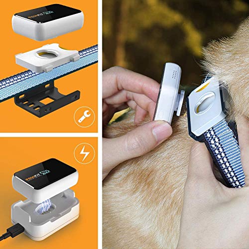 Pawfit 2 GPS Dog Tracker for Pet Dog Collar, Three Positioning, IP68