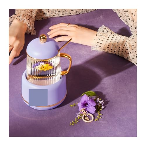 Tetera eléctrica multifuncional de vidrio 400ml 220V miniatura 3