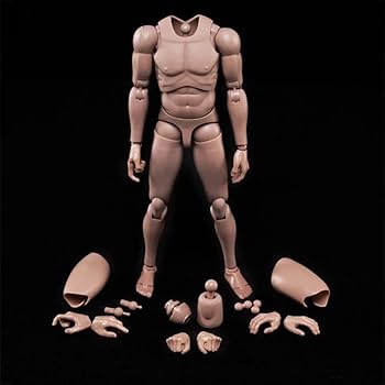 筋肉フィギュア ブロンズ 約25cm 六角形ベース Amazon.co.jp: 12インチ男性ボディフィギュア 体型モデル 筋肉