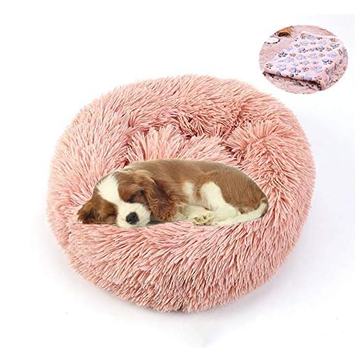 Aqueous Small Dogs Bed Calming Bed for Dogs and Cats Machine Washable, Waterproof Bottom Ultra Soft Washable Dog and Cat Cushion Bed Warming Cuddler Bed for Cats or Dogs