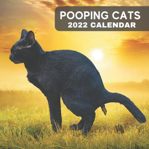Pooping Cats 2022 Calendar: 12 Month 2022 Pooping Cats Calendar/ Funny Cats Answering Nature's Call for Cat Lovers / Unique; Hilarious Pictures of ... Gag Christmas gift for best friends or Family