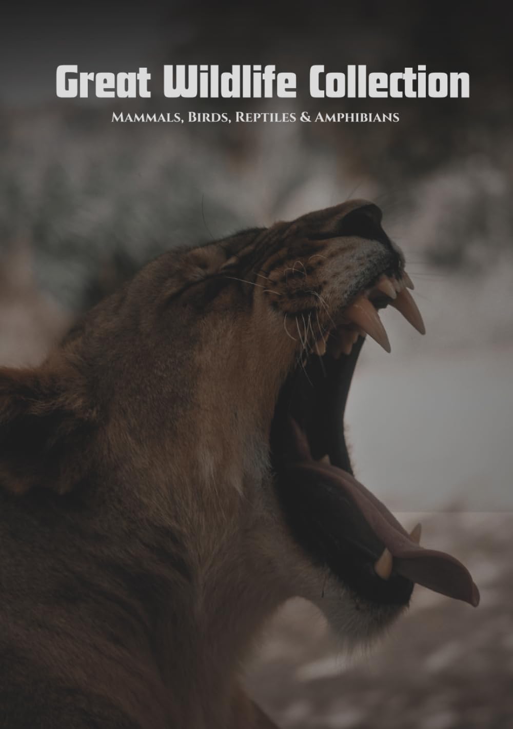 Great Wildlife Collection: Mammals, Birds, Reptiles & Amphibians