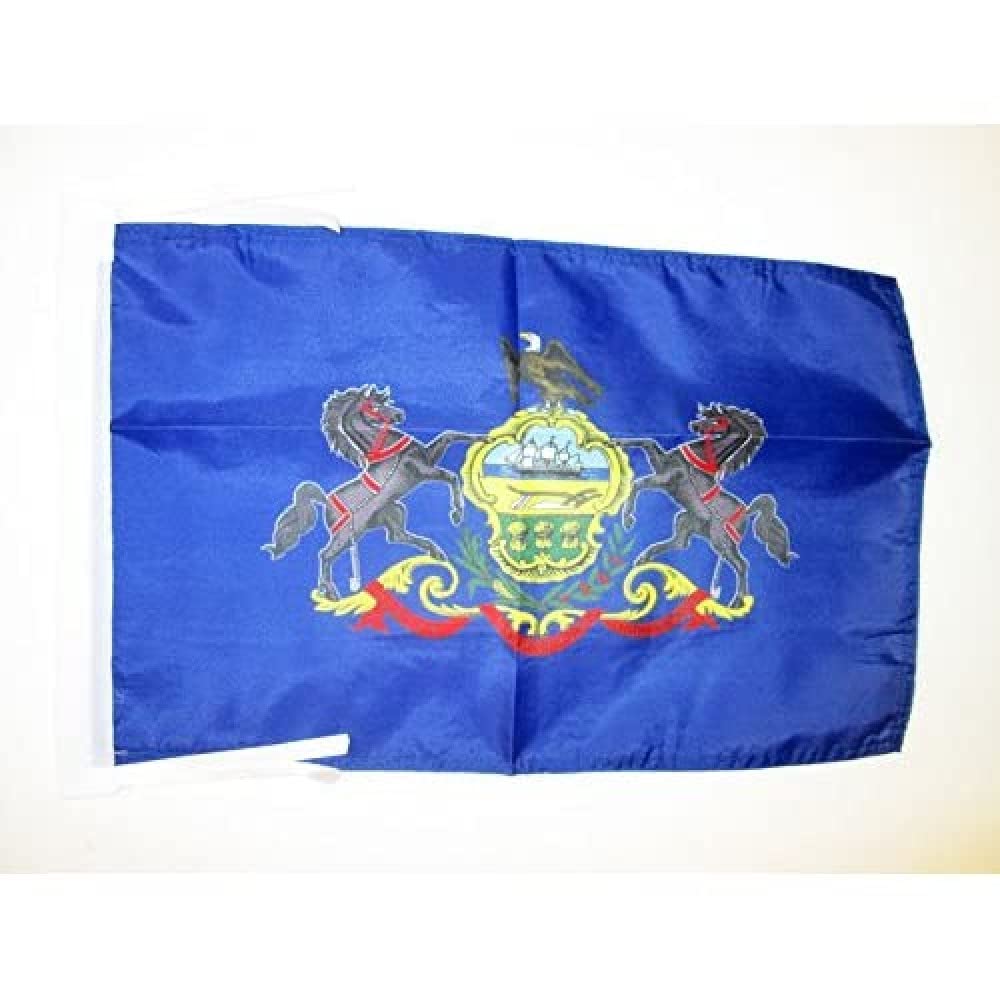 Iran Old Persia Flag 18'' x 12'' cords - Persian SMALL flags 30 x 45cm - Banner 18x12 in - AZ FLAG — view 409