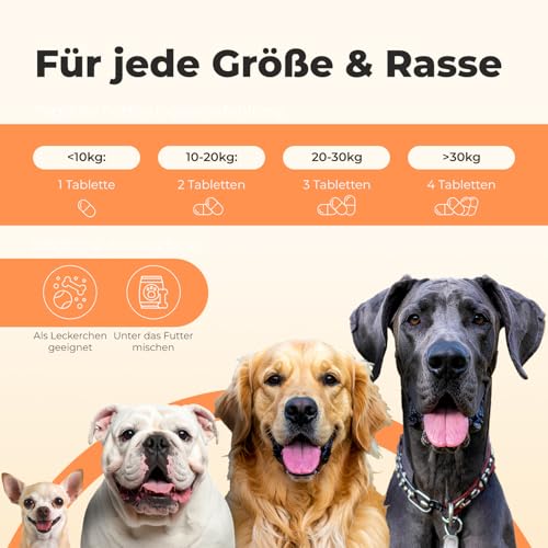 Vitamin B Komplex für Hunde - 120 Tabletten - Hochdosiert: Mit 8 B-Vitaminen (B1, B2, B3, B5, B6, B7, B9, B12) - Mit Tierärzten entwickelt, laborgeprüft & produziert in Deutschland
