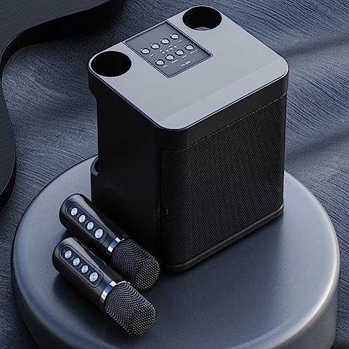 Karaoké Bluetooth sans fil double micro pour chanter n'importe où sans installation complexe - 6