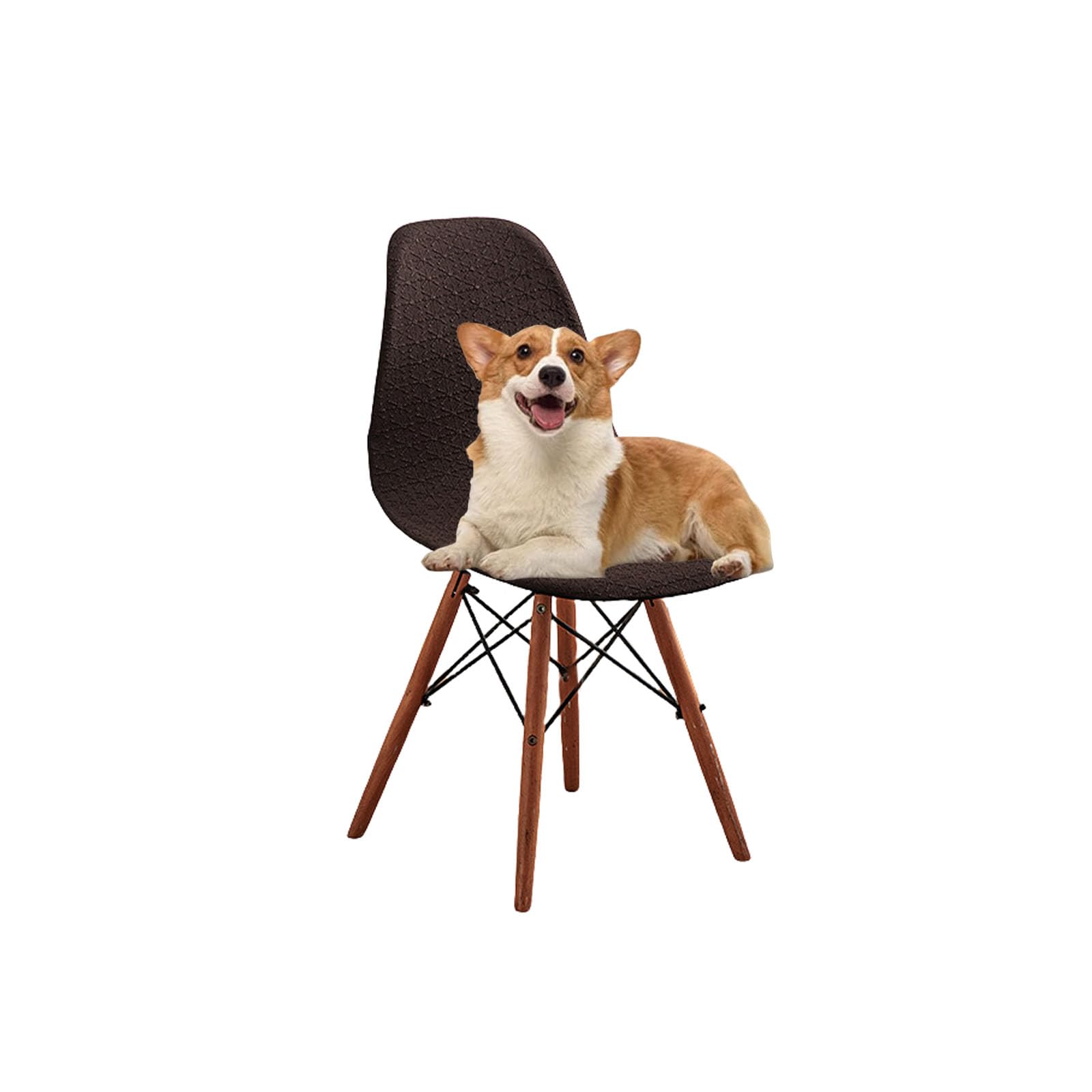 Housses de chaise de salle à manger extensibles pour masquer l'usure du tissu
