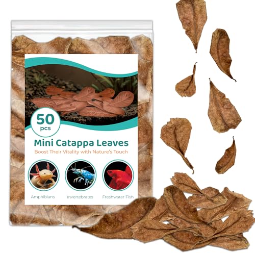 SunGrow 50 pcs Betta Fin Rot Treatment Catappa Indian Almond Leaves, 2', Betta Water Conditioner...